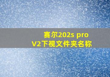 赛尔202s pro V2下视文件夹名称